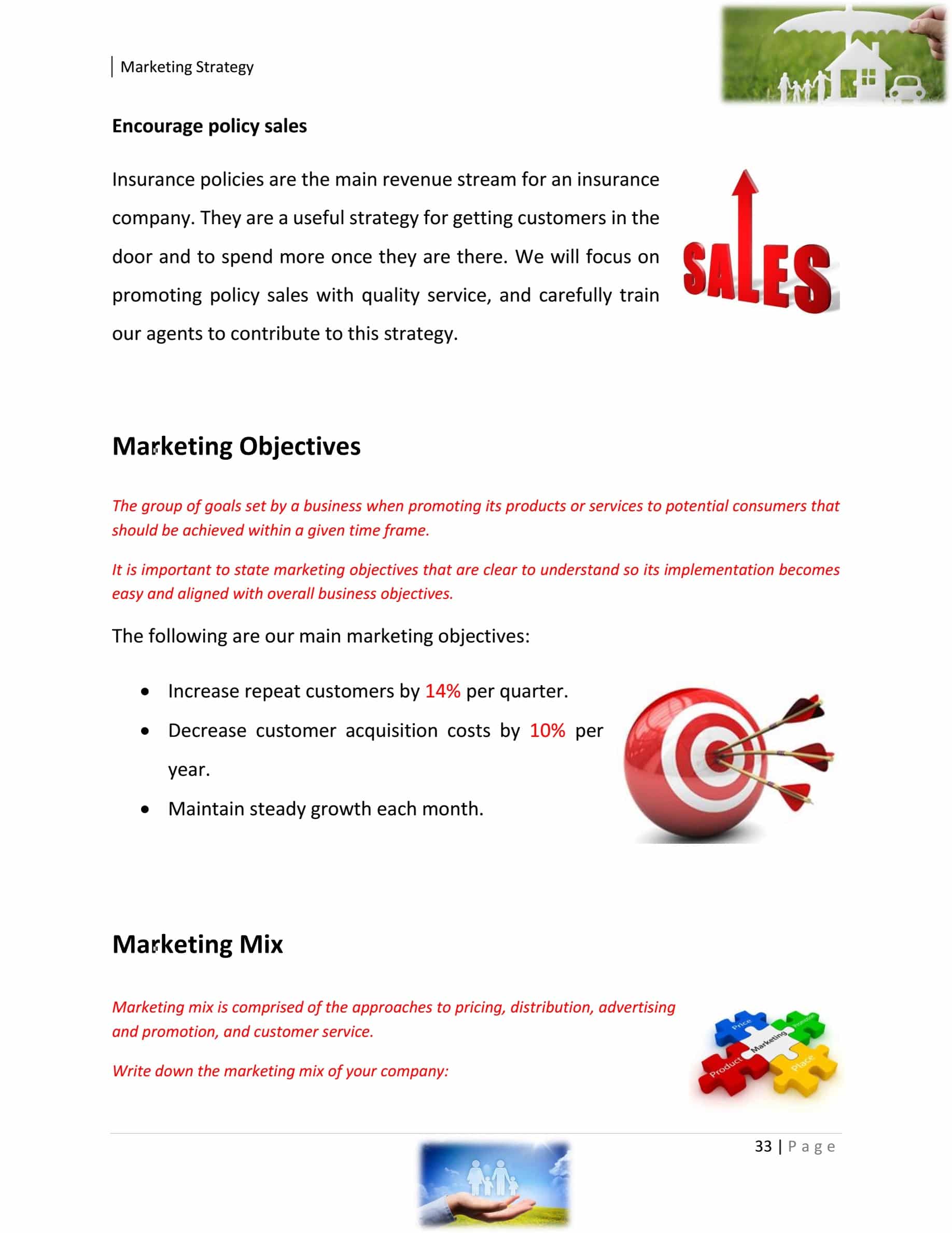 Insurance Agency Business Plan Template Sample Pages Black Box