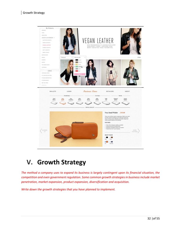 Online Fashion Boutique Business Plan Template Sample Pages Black Box