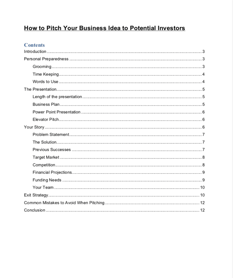 TShirt Business Plan Template Sample Pages Black Box Business Plans