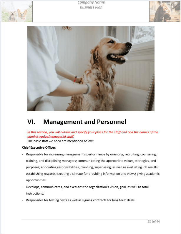 dog grooming business plan template